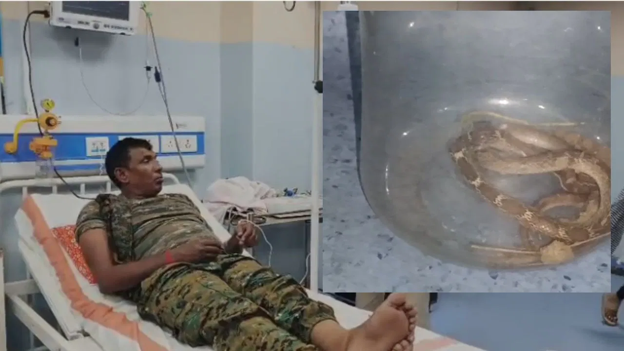 जूते में छिपे सांप ने पुलिसकर्मी को काटा, सूझबूझ दिखाते हुए डिब्बे में बंद कर अस्पताल पहुंचा