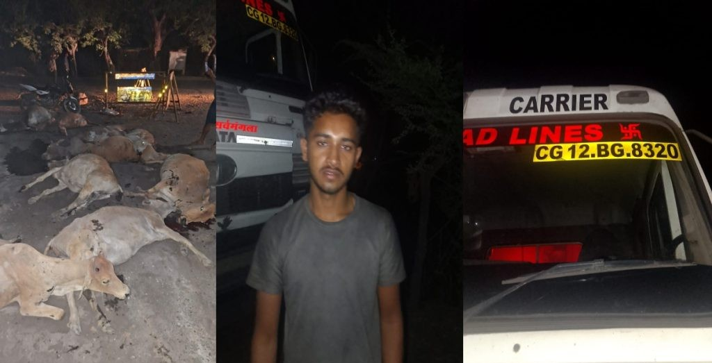 तेज रफ्तार हाईवे वाहन ने 12 गौवंशों को कुचला, चालक के खिलाफ मामला दर्ज