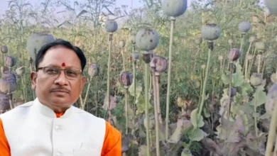 छत्तीसगढ़ में अवैध अफीम की खेती पर सीएम साय की सख्ती, 15 दिन में सर्वे का आदेश
