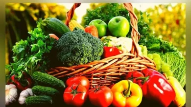 ईरान संघर्ष से फल-सब्जी और चावल निर्यात पर असर, भाड़ा बढ़ा और शिपमेंट में देरी