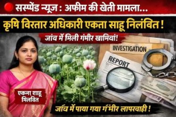 अफीम की खेती मामला: कृषि विस्तार अधिकारी एकता साहू निलंबित, जांच में सामने आई गंभीर खामियां