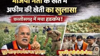 भाजपा नेता के खेत में अफीम की खेती का खुलासा, छत्तीसगढ़ की राजनीति में मचा हड़कंप