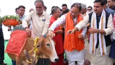 मुख्यमंत्री साय ने गौधाम योजना का किया शुभारंभ : प्रदेश में गोधन संरक्षण को मिला नया आधार