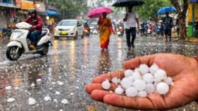 धमतरी में बदला मौसम का मिजाज: तेज बारिश के साथ गिरे ओले, जनजीवन प्रभावित; किसानों की चिंता बढ़ी