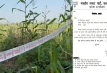 अफीम की खेती: भाजपा ने विनायक ताम्रकार को किया पार्टी से निलंबित, इधर फसल देखने पहुंचे पूर्व मुख्यमंत्री भूपेश बघेल…