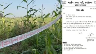 अफीम की खेती: भाजपा ने विनायक ताम्रकार को किया पार्टी से निलंबित, इधर फसल देखने पहुंचे पूर्व मुख्यमंत्री भूपेश बघेल…