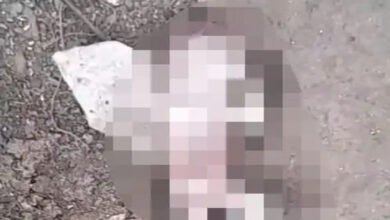 दुर्ग जिला अस्पताल के पीछे नाली में मिला नवजात का शव, पुलिस जांच में जुटी दुर्ग जिला अस्पताल के पीछे नाली में मिला नवजात का शव, पुलिस जांच में जुटी