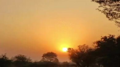 छत्तीसगढ़ में तीन दिन और रहेगी गर्मी, फिर बदलेगा मौसम; बारिश और तेज हवाओं का अलर्ट