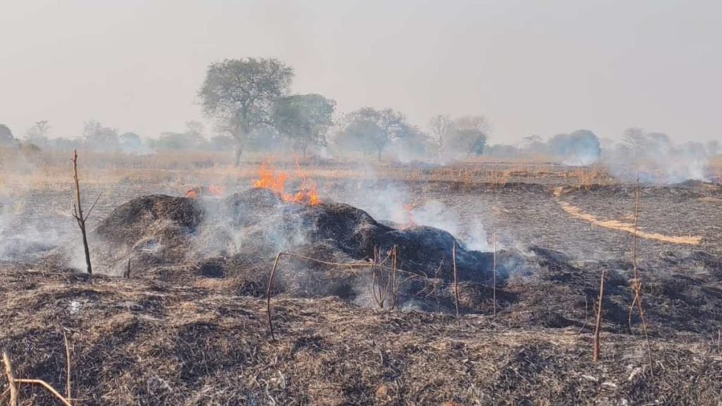 किसानों के खेतों में लगी भीषण आग, 400-500 एकड़ की फसल जलकर खाक