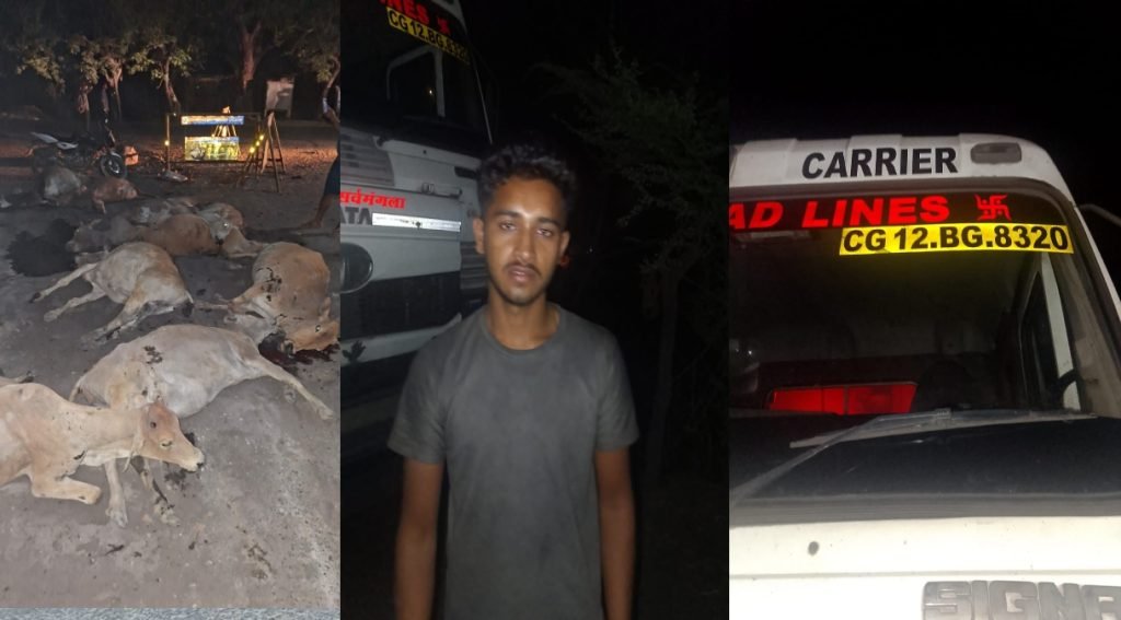 सड़क हादसा : तेज रफ्तार हाईवा वाहन ने 12 गौवंशों को कुचला, चालक के खिलाफ मामला दर्ज सड़क हादसा : तेज रफ्तार हाईवा वाहन ने 12 गौवंशों को कुचला, चालक के खिलाफ मामला दर्ज