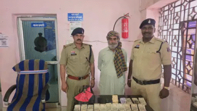 दुर्ग में अफीम खेती के बाद तस्करी का नेटवर्क:होटल-ढाबों में हो रही थी बिक्री, कुम्हारी में 70 साल का बुजुर्ग बेचते पकड़ाया