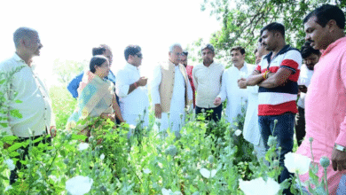 अफीम की खेती: भूपेश बघेल ने पूछा- यह प्रोजेक्ट भाजपा किसान मोर्चा का है या मंत्रियों का है?