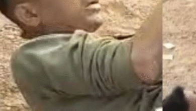 जेल गया, छूटा और फिर किया गंदा काम, गुस्साई भीड़ ने आरोपी को जमकर पीटा, वीडियो वायरल…