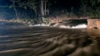 रायगढ़ में मूसलाधार बारिश का असर,बांध का गेट टूटा, हाईवे बना दरिया