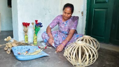 छत्तीसगढ़: स्व-सहायता समूह से बदली किस्मत, मुडपार की रेवती निषाद बनी सफल ग्रामीण उद्यमी