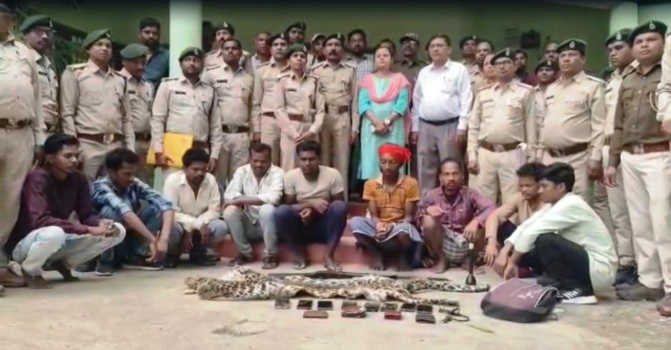 तेंदुए की खाल की तस्करी पर वन विभाग की बड़ी कार्रवाई, 9 आरोपी गिरफ्तार