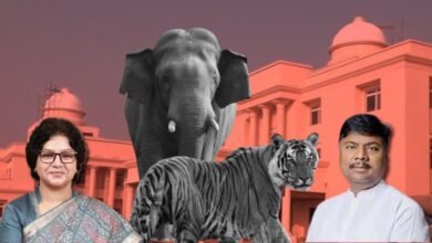 छत्तीसगढ़ विधानसभा बजट सत्र: तीन सालों में हुई 9 बाघ और 38 हाथियों की मौत, वन मंत्री केदार कश्यप ने दी जानकारी…