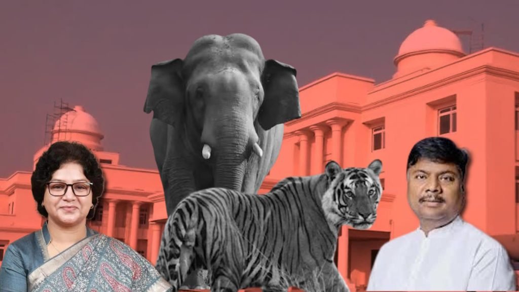 छत्तीसगढ़ विधानसभा बजट सत्र: तीन सालों में हुई 9 बाघ और 38 हाथियों की मौत, वन मंत्री केदार कश्यप ने दी जानकारी…