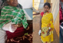 बस्तर में तेंदुए का हमला या कुछ और? तीन ग्रामीण घायल, जांच में जुटा वन विभाग