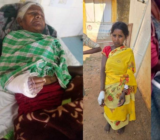 बस्तर में तेंदुए का हमला या कुछ और? तीन ग्रामीण घायल, जांच में जुटा वन विभाग