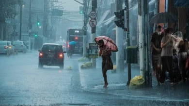 देश में बदला मौसम का मिजाज: पूर्वोत्तर में भारी बारिश, कई राज्यों में तेज हवाओं का अलर्ट