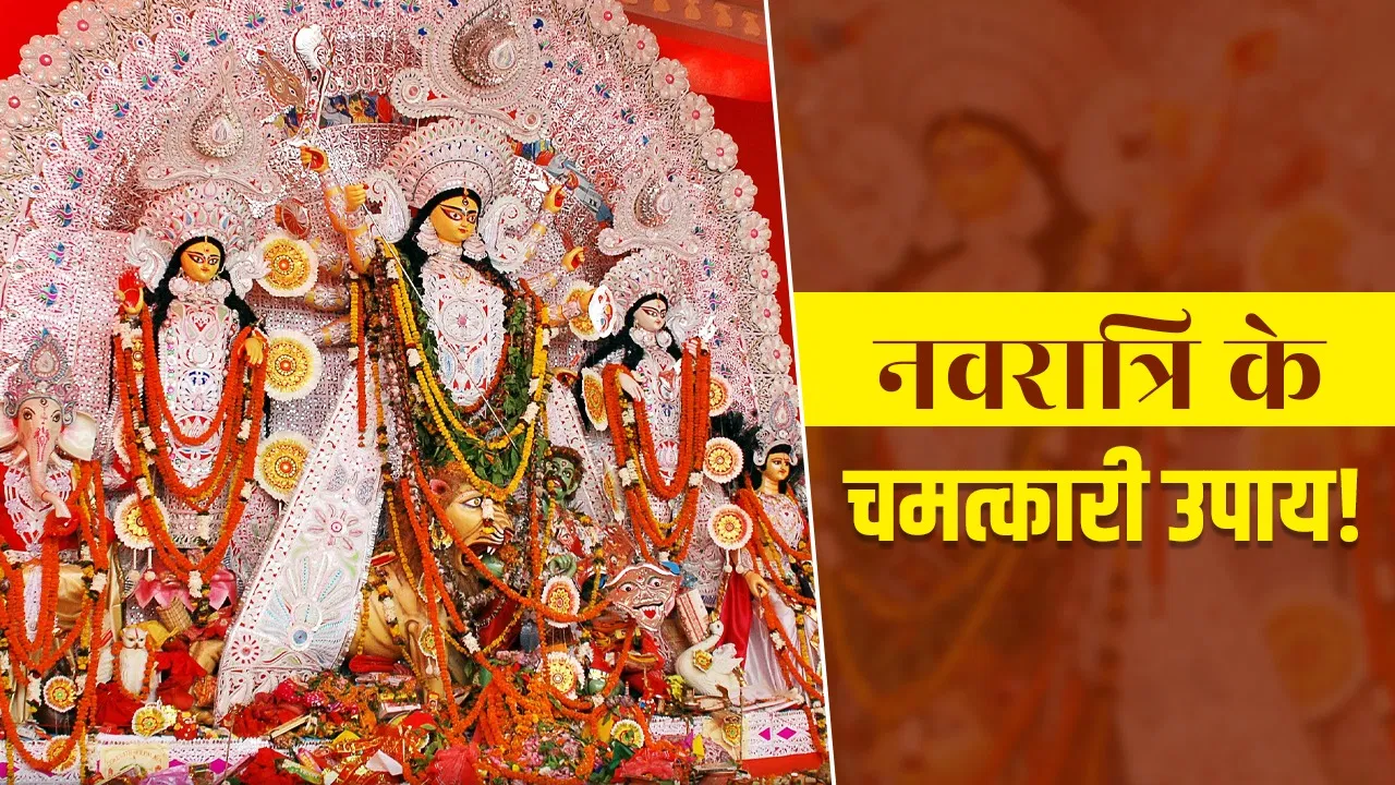 नवरात्रि में कौड़ियों और लोंग से करें ये उपाय, घर से भाग जाएगी दरिद्रता! नवरात्रि में कौड़ियों और लोंग से करें ये उपाय, घर से भाग जाएगी दरिद्रता!