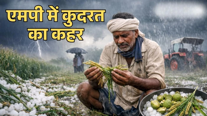 मध्य प्रदेश में बेमौसम बारिश और ओलावृष्टि का कहर, फसलों को भारी नुकसान, 48 घंटे का अलर्ट मध्य प्रदेश में बेमौसम बारिश और ओलावृष्टि का कहर, फसलों को भारी नुकसान, 48 घंटे का अलर्ट