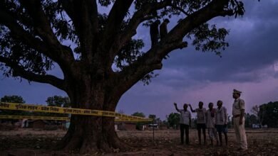 धमतरी: प्रेम प्रसंग में आत्मघाती कदम, युवक और नाबालिग युवती ने आम के पेड़ पर लगाई फांसी