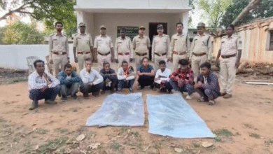 वन विभाग की बड़ी कार्रवाई, तेंदुए की 2 खाल के साथ 9 आरोपी गिरफ्तार
