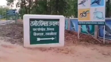 तमोर-पिंगला में ‘हरा सोना’ या कमीशन का खेल…? 18% बनाम 30% पर बवाल—जंगल के भीतर सिस्टम में घमासान! भुगतान रुका, हंगामा खुला—अब सवालों के घेरे में पूरा तंत्र!