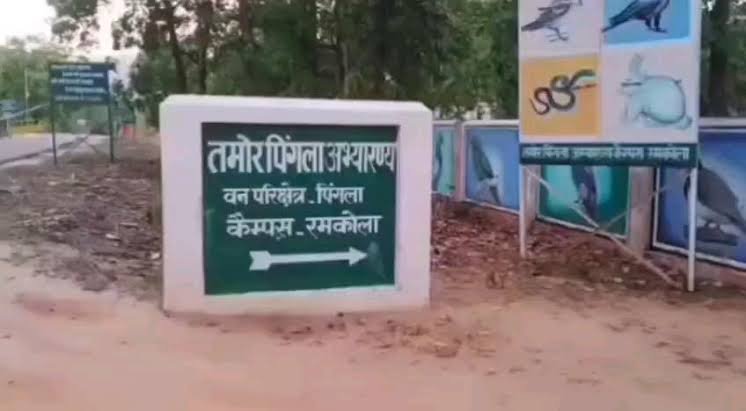 तमोर-पिंगला में ‘हरा सोना’ या कमीशन का खेल…? 18% बनाम 30% पर बवाल—जंगल के भीतर सिस्टम में घमासान! भुगतान रुका, हंगामा खुला—अब सवालों के घेरे में पूरा तंत्र!