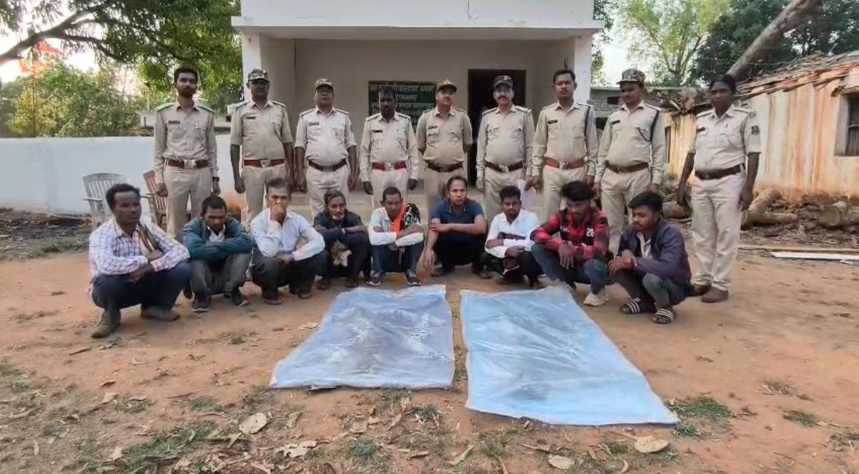 छत्तीसगढ़: तेंदुआ खाल तस्करी में शामिल गिरोह पर वन विभाग की बड़ी कार्रवाई, 2 खाल बरामद