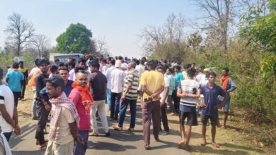 बलरामपुर में हाथियों का तांडव: महुआ बीनने गई 14 वर्षीय किशोरी को कुचला, इलाके में दहशत