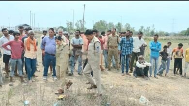मैहर: अमरपाटन औद्योगिक क्षेत्र में युवक की नृशंस हत्या, गला रेतकर और पत्थर से कुचलकर उतारा मौत के घाट