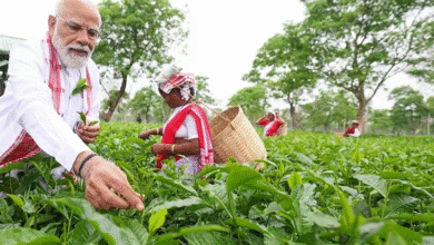 पीएम मोदी ने असम के चाय बगान में पत्ती तोड़ी:महिला कामगारों के साथ सेल्फी ली; केरलम में राहुल ने बस में सफर किया