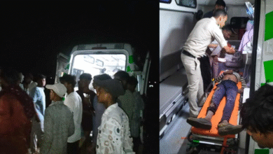 आकाशीय बिजली गिरने से अधेड़ की मौत, भेड़-बकरी चराने गया था मृतक