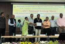 कृषि विश्वविद्यालय रायपुर को सर्वश्रेष्ठ सोयाबीन अनुसंधान केंद्र का राष्ट्रीय पुरस्कार