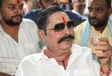 हथियार लहराने के मामले में जदयू विधायक अनंत सिंह की गिरफ्तारी पर फिलहाल रोक