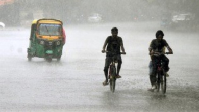 मौसम ने ली करवट: बस्तर के कई जिलों में गरज-चमक के साथ बारिश के संकेत