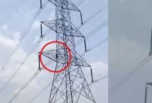 धमतरी में हाईटेंशन टॉवर पर युवक का हाई वोल्टेज ड्रामा, गाँव में मचा हडकंप
