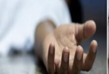 धमतरी में दर्दनाक हादसा: आम तोड़ने पेड़ पर चढ़े ग्रामीण की गिरने से मौत