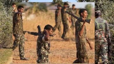 जांच एजेंसियां न जुटा पाईं सबूत, छत्तीसगढ़ में 76 CRPF जवानों की हत्या के सभी आरोपी हाईकोर्ट से बरी
