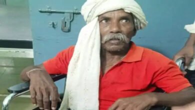 कोरबा के जंगल में भालू का हमला: तेंदूपत्ता तोड़ने गए दो ग्रामीण घायल, चेहरे और हाथों पर गंभीर चोटें कोरबा के जंगल में भालू का हमला: तेंदूपत्ता तोड़ने गए दो ग्रामीण घायल, चेहरे और हाथों पर गंभीर चोटें