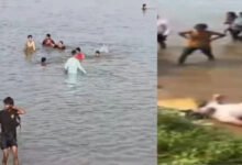 झोराघाट पिकनिक बना मातम: गहरे पानी में डूबने से 17 वर्षीय किशोर की मौत