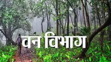 छत्तीसगढ़ वन विभाग में बड़ा प्रशासनिक बदलाव: एक महीने में 4 वरिष्ठ अधिकारी रिटायर, कई पदों पर प्रभारी व्यवस्था की तैयारी