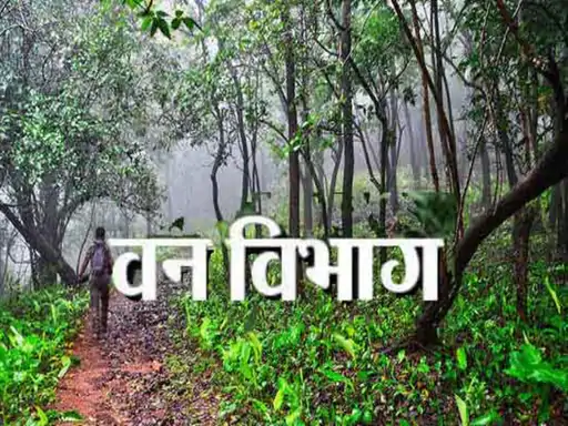 छत्तीसगढ़ वन विभाग में बड़ा प्रशासनिक बदलाव: एक महीने में 4 वरिष्ठ अधिकारी रिटायर, कई पदों पर प्रभारी व्यवस्था की तैयारी छत्तीसगढ़ वन विभाग में बड़ा प्रशासनिक बदलाव: एक महीने में 4 वरिष्ठ अधिकारी रिटायर, कई पदों पर प्रभारी व्यवस्था की तैयारी
