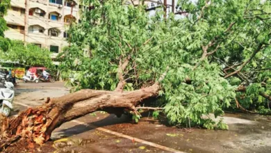 भीषण गर्मी के बीच बदला मौसम, आंधी-बारिश से कई इलाकों में नुकसान