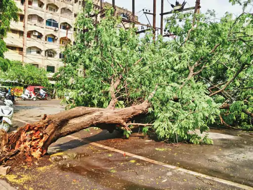 भीषण गर्मी के बीच बदला मौसम, आंधी-बारिश से कई इलाकों में नुकसान