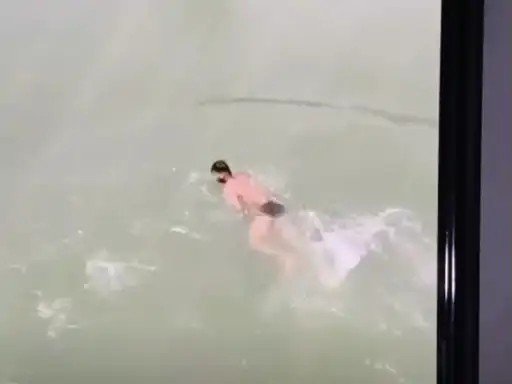 कोरबा में रील के चक्कर में युवक नदी में डूबा, LIVE VIDEO आया सामने; दोस्त समझते रहे मजाक कोरबा में रील के चक्कर में युवक नदी में डूबा, LIVE VIDEO आया सामने; दोस्त समझते रहे मजाक