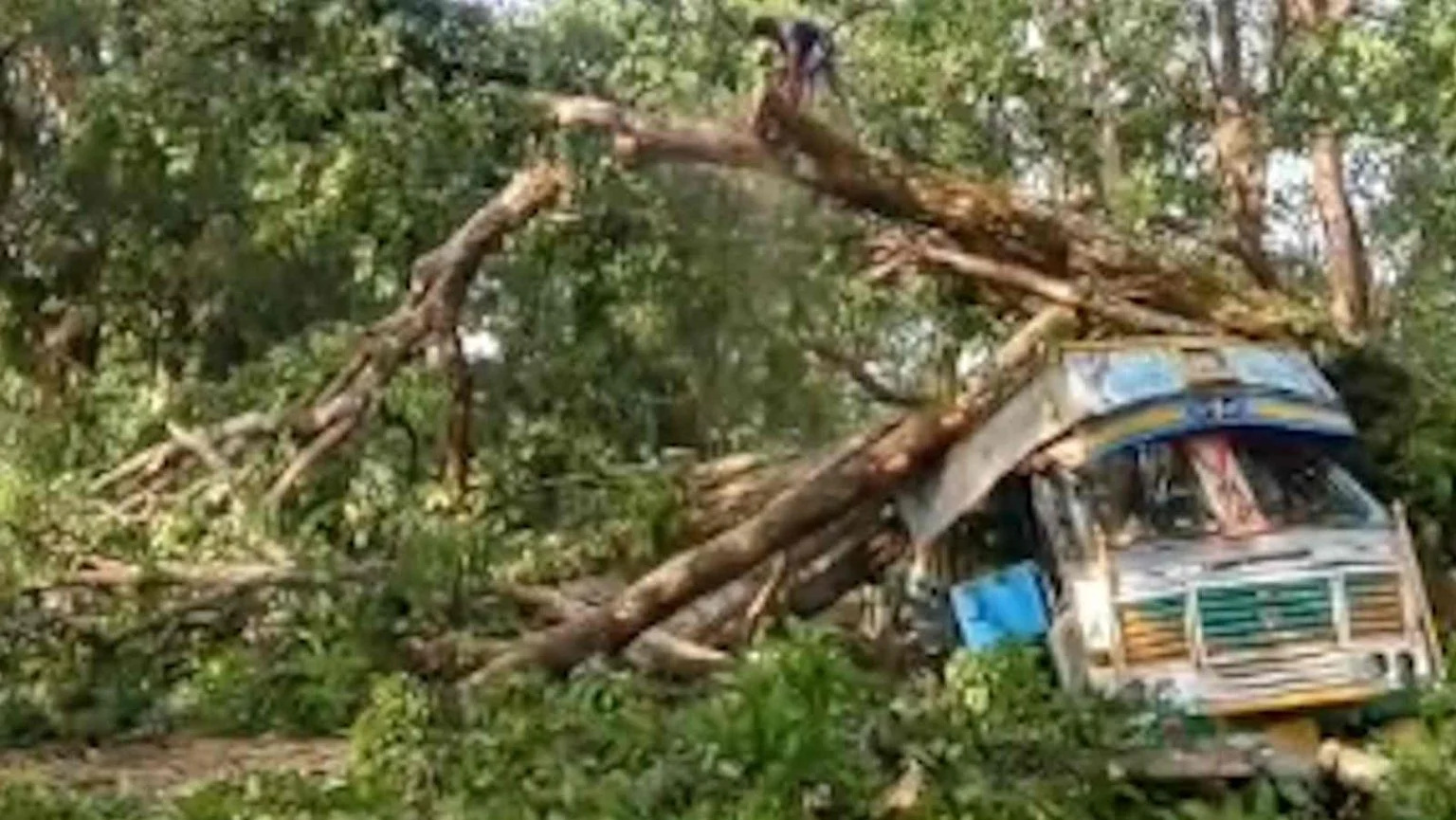 जगदलपुर-सुकमा नेशनल हाईवे पर बड़ा हादसा: चलती ट्रक पर गिरा विशाल पेड़, घंटों थमा यातायात